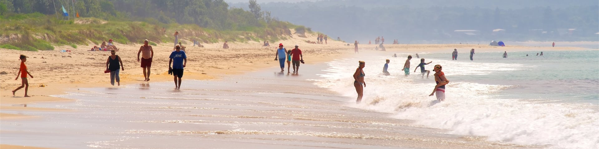 Plage de Collingwood mettant en vedette plage de sable et vues littorales aussi bien que important groupe de personnes