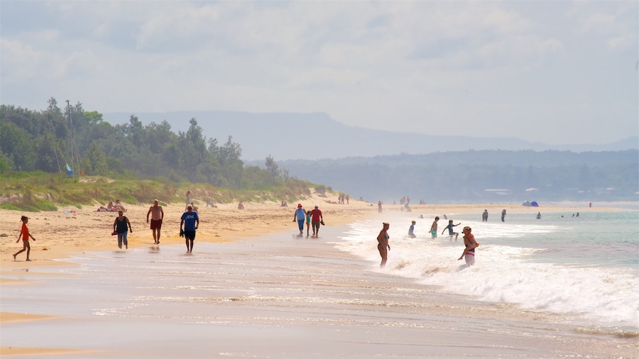 Collingwood Beach bevat een strand en algemene kustgezichten en ook een grote groep mensen