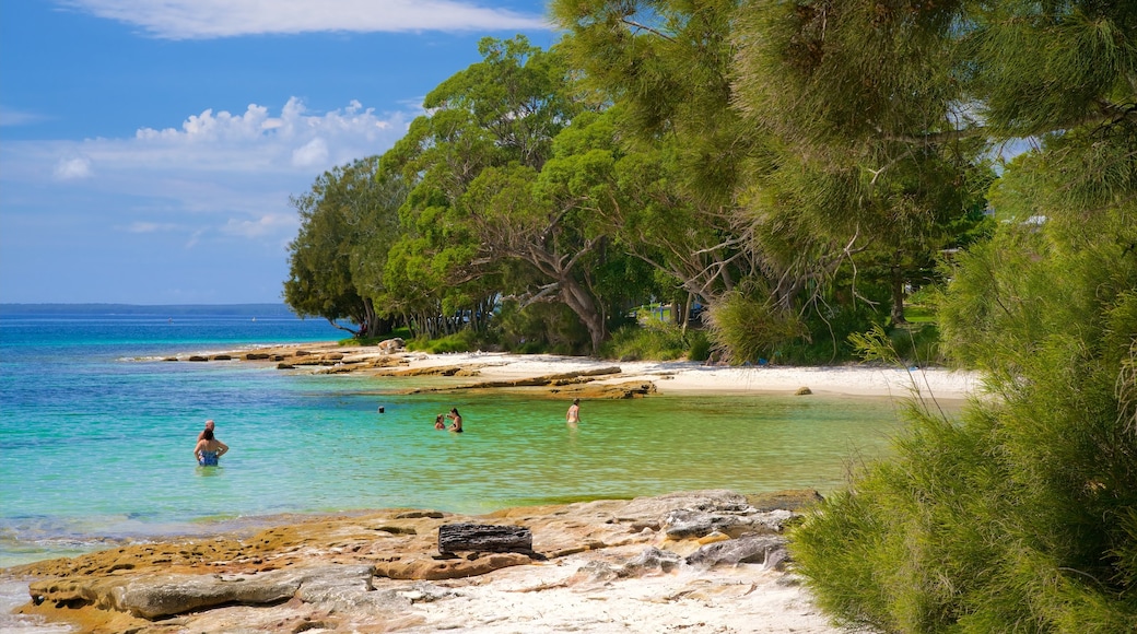 Collingwood Beach showing general coastal views and a beach