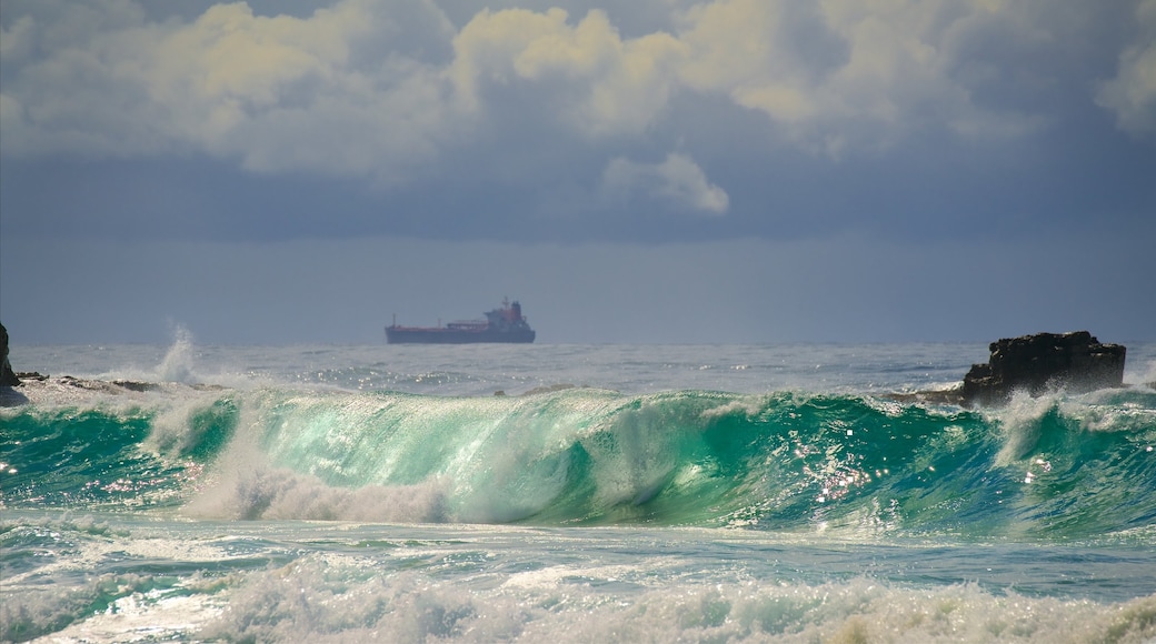 Wollongong South Beach showing surf and general coastal views