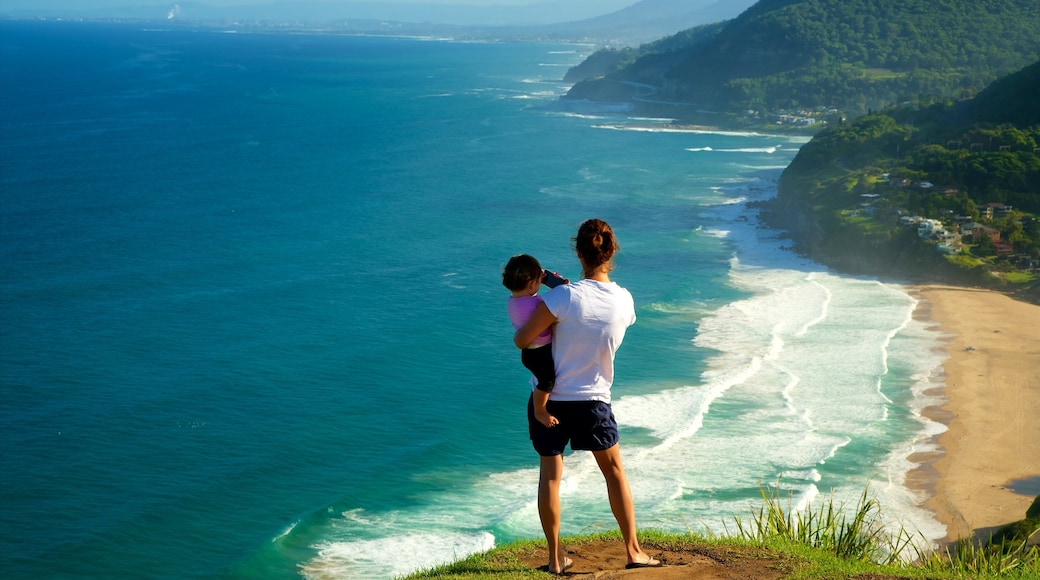 Wollongong showing a beach and views as well as a family