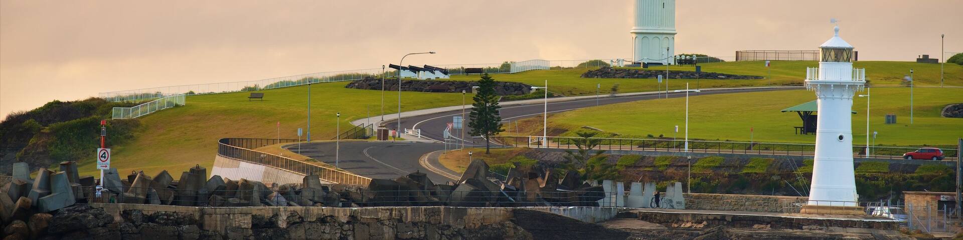 Wollongong showing a lighthouse and general coastal views