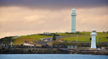 Wollongong showing a lighthouse and general coastal views