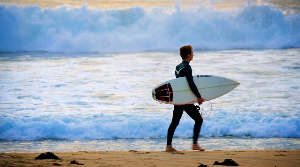 Wollongong North Beach showing surf and a beach as well as an individual male