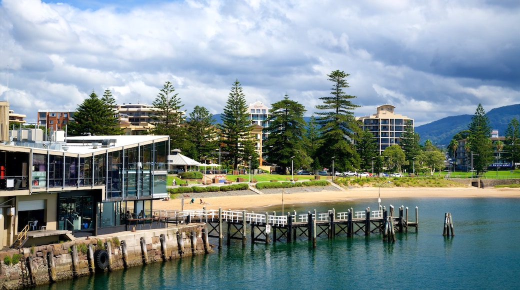 Wollongong showing a sandy beach and general coastal views