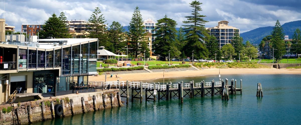 Wollongong which includes a beach and general coastal views