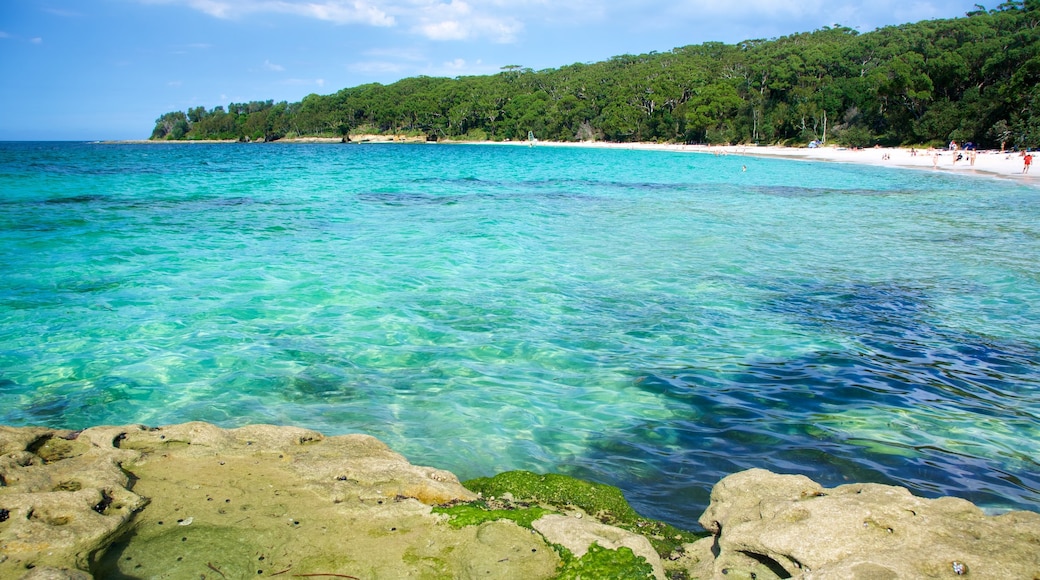 Booderee National Park che include spiaggia sabbiosa