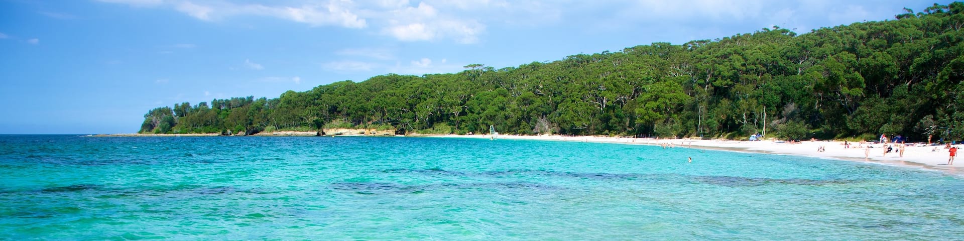 Booderee National Park showing a beach
