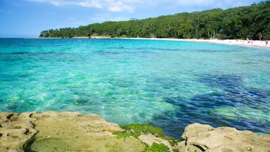 Booderee National Park showing a beach