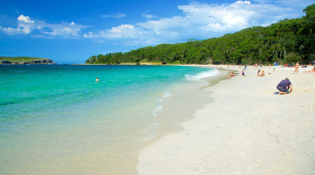 Booderee National Park showing a sandy beach as well as a large group of people