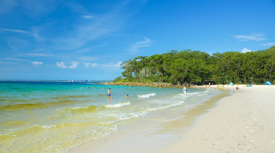 Booderee National Park showing a sandy beach as well as a small group of people