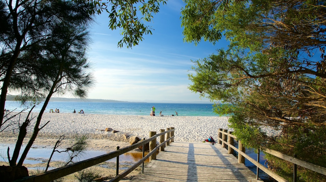 Booderee National Park featuring a sandy beach and a bridge