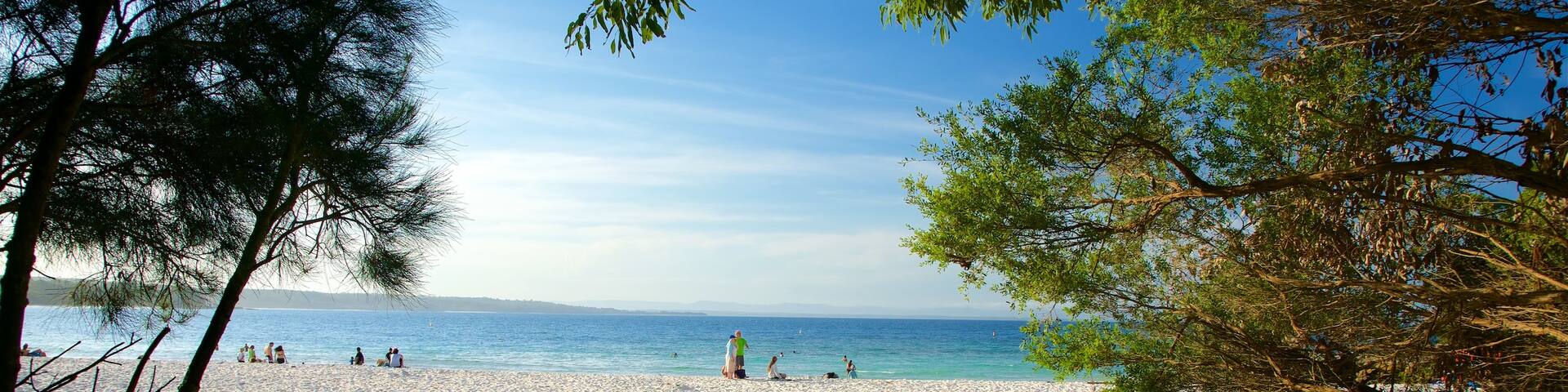 Booderee National Park showing a sandy beach and a bridge