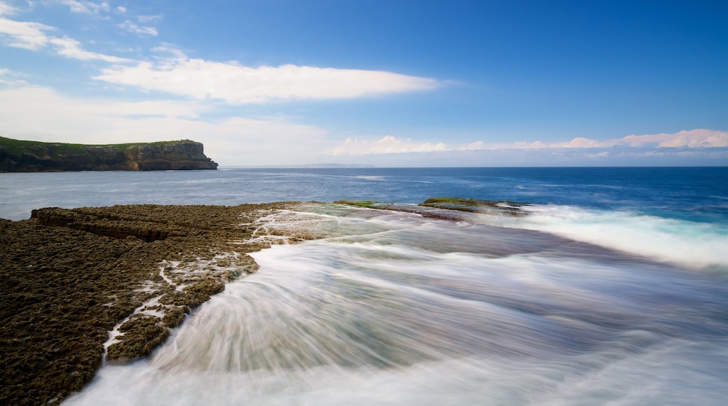 Booderee National Park showing rocky coastline and colourful reefs