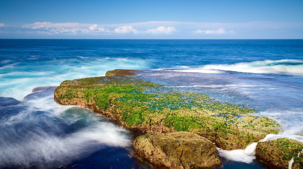 Booderee National Park featuring rugged coastline