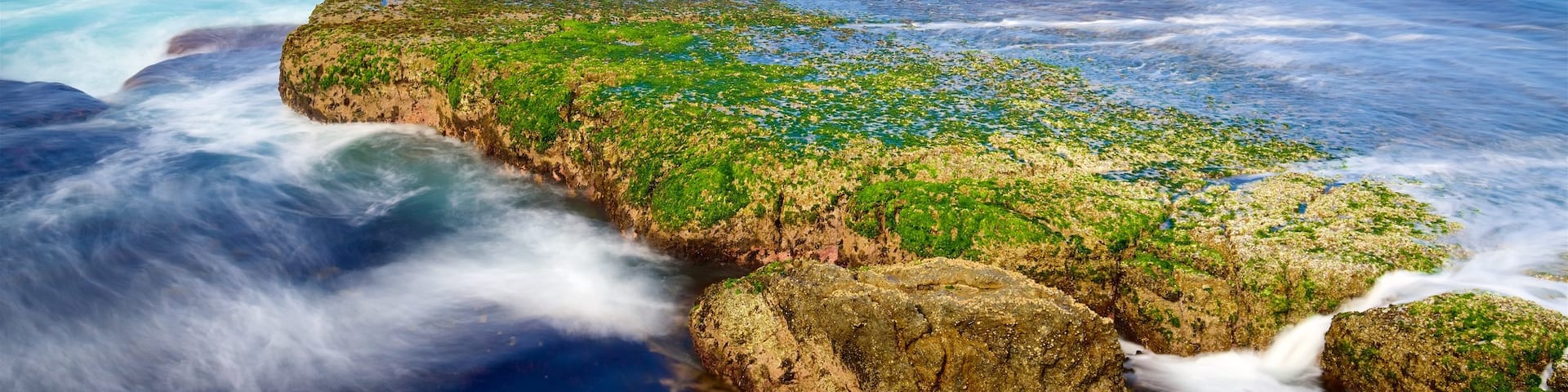 Booderee National Park featuring rugged coastline