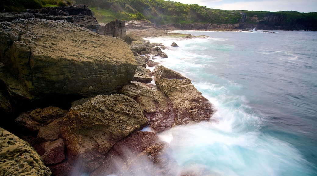 Booderee National Park showing surf and rugged coastline