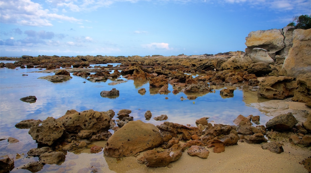 Nationalpark Booderee welches beinhaltet Sandstrand und Felsküste