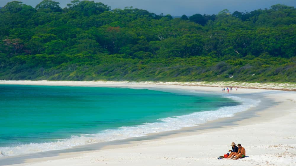 Parc national de Jervis Bay montrant plage et vues littorales aussi bien que couple