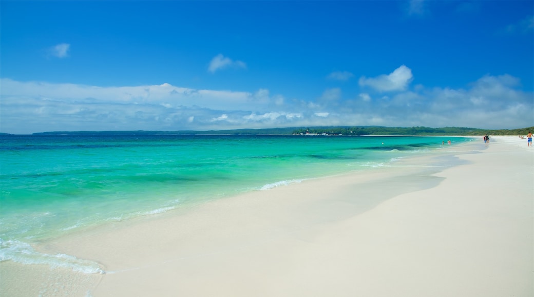 Jervis Bay showing a sandy beach and general coastal views