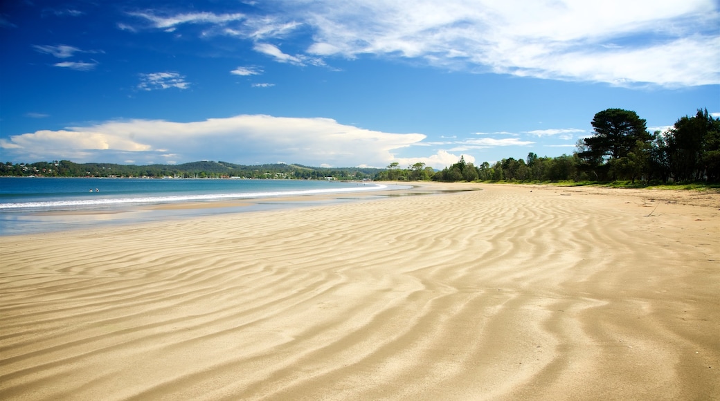 Batemans Bay which includes a beach and general coastal views