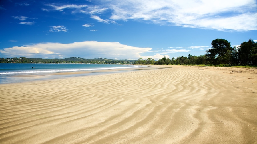 Batemans Bay featuring a beach and general coastal views