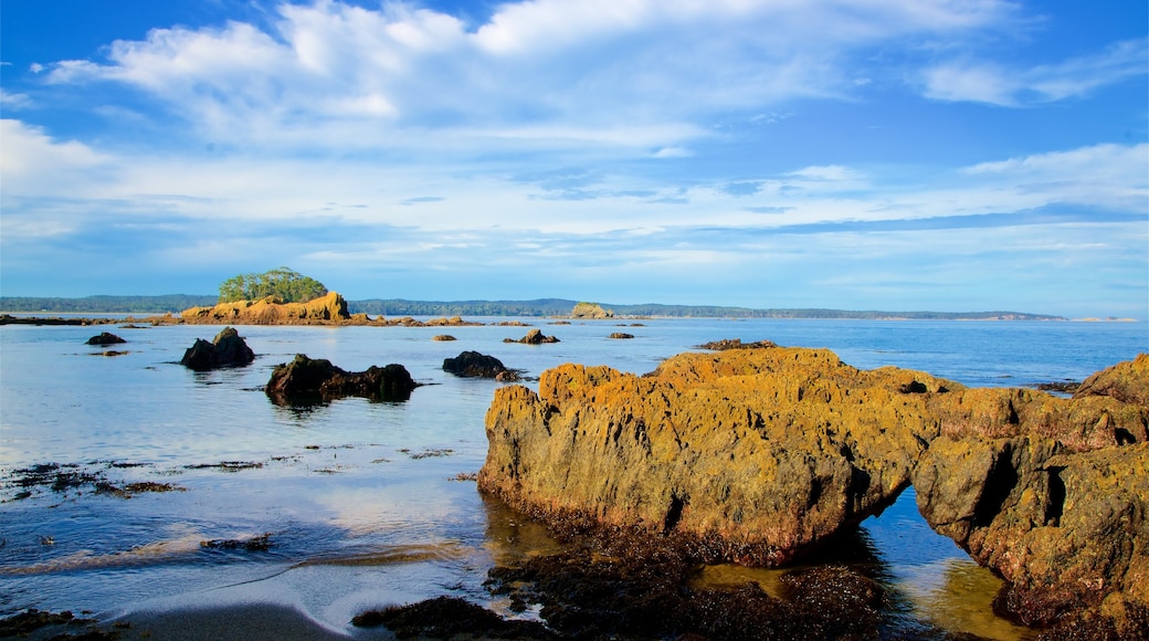 Caseys Beach showing rocky coastline and a sandy beach