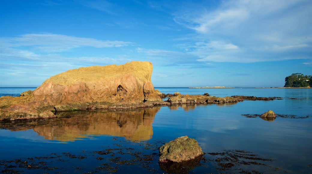 Caseys Beach showing rocky coastline and a sandy beach