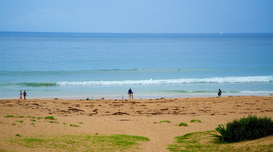 Pebbly Beach which includes a sandy beach and general coastal views as well as a small group of people