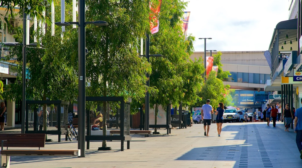 Wollongong featuring a city