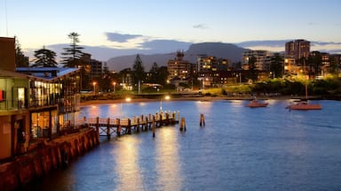 Wollongong showing a beach, a city and boating