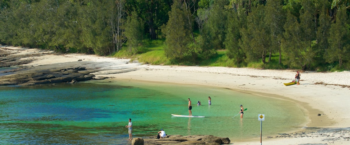 Huskisson mostrando una playa de arena y vistas generales de la costa y también un pequeño grupo de personas