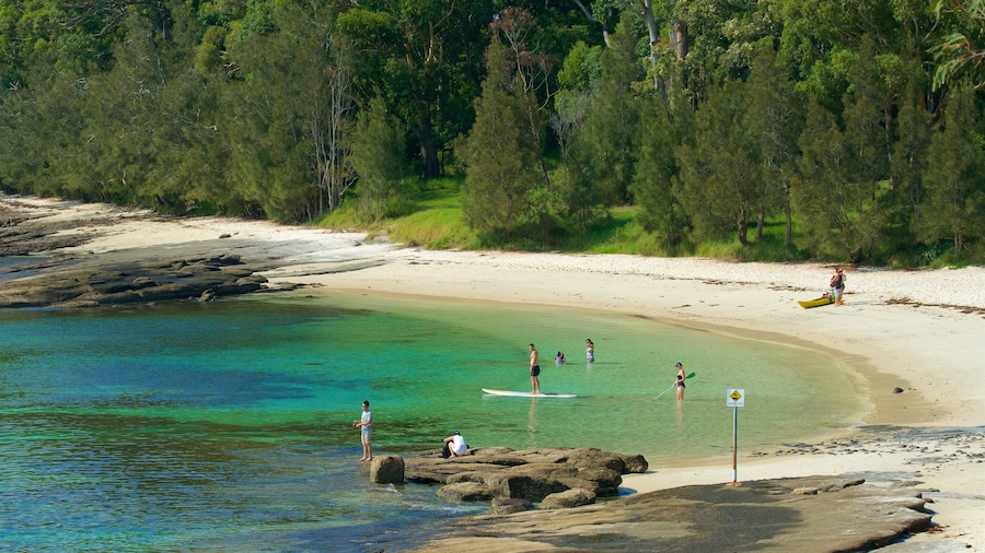 Huskisson mostrando una playa de arena y vistas generales de la costa y también un pequeño grupo de personas