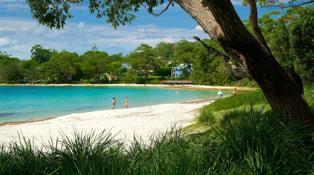 Collingwood Beach which includes a beach and general coastal views