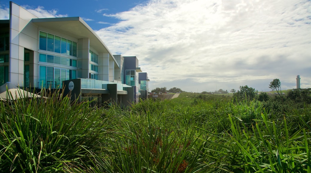 Wollongong South Beach