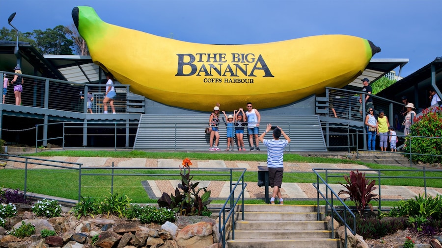 Big Banana Coffs Harbour which includes outdoor art as well as a family