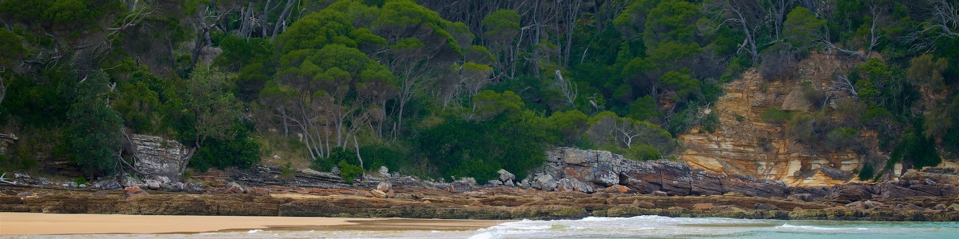 Aslings Beach showing a sandy beach and general coastal views