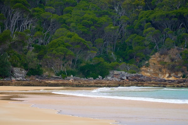 Aslings Beach showing a sandy beach and general coastal views