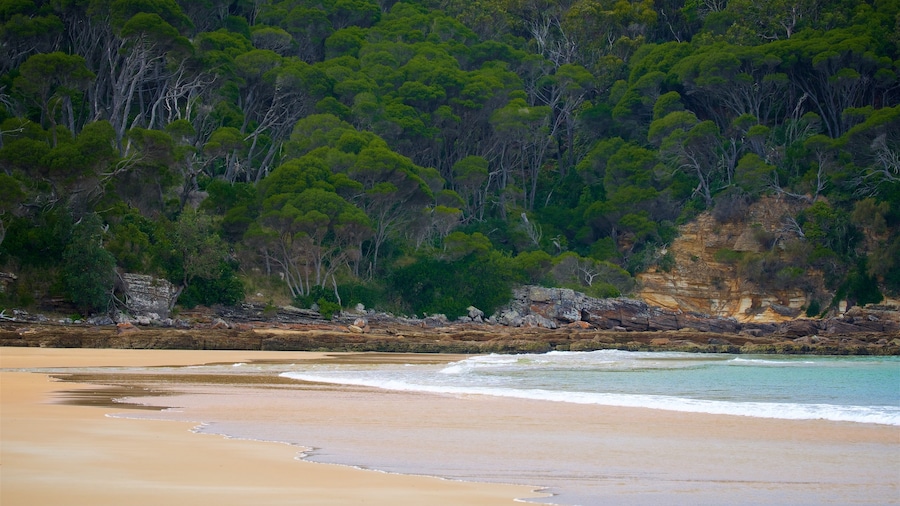Aslings Beach showing general coastal views and a beach