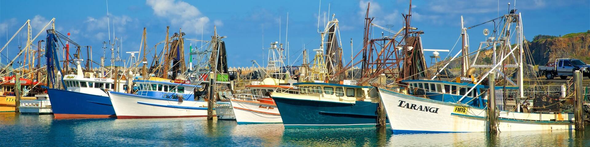Coffs Harbour Marina which includes boating and a marina