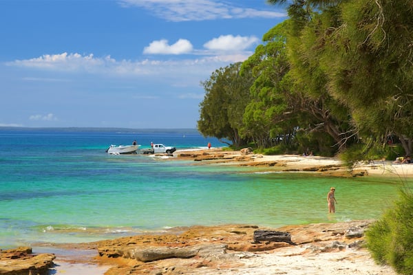 Plage de Collingwood mettant en vedette corail et plage