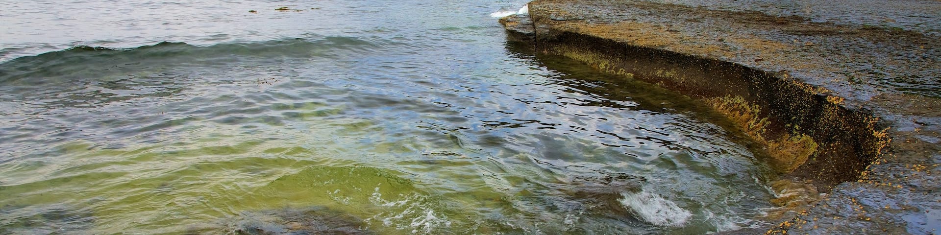 Pebbly Beach which includes general coastal views and rugged coastline