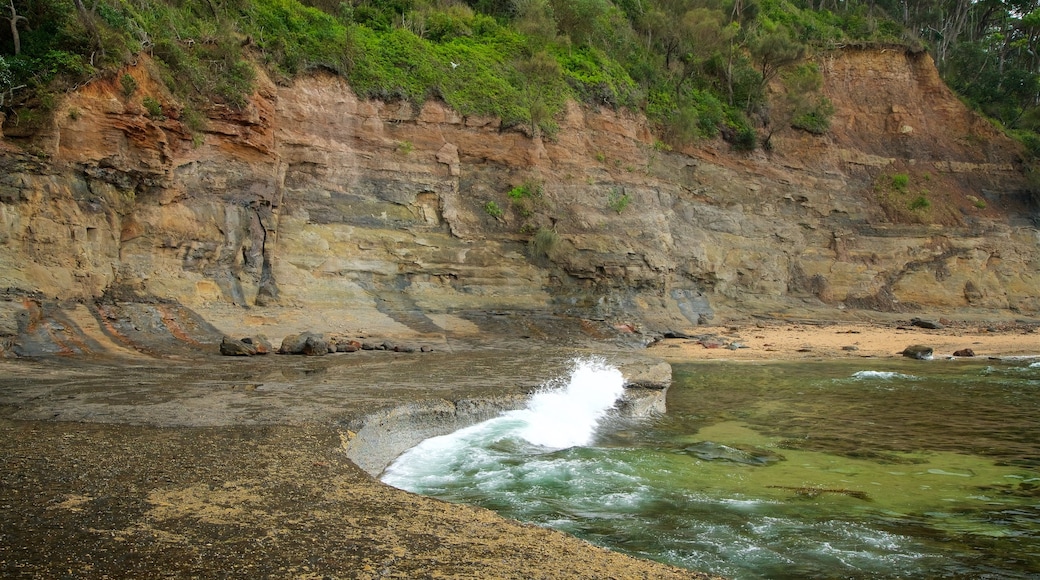 Spiaggia di Pebbly mostrando lago o sorgente d\'acqua