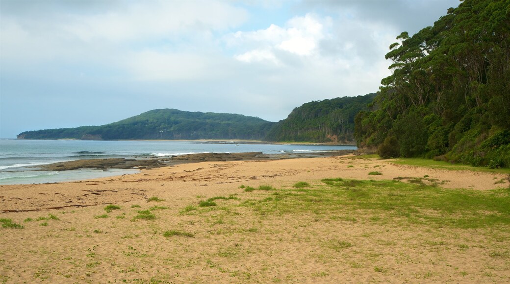 Pebbly Beach