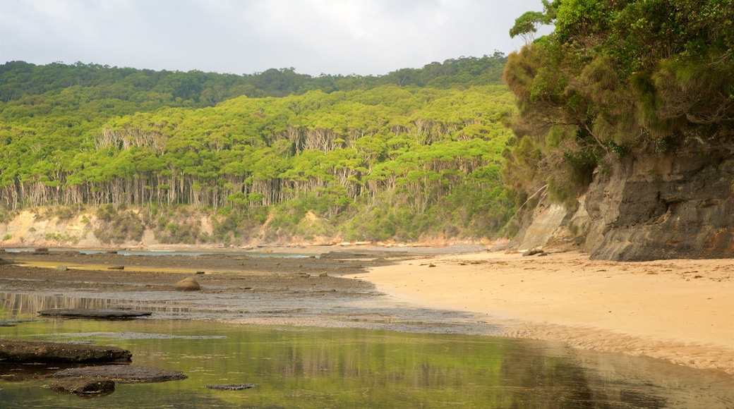 Taman Nasional Murramarang