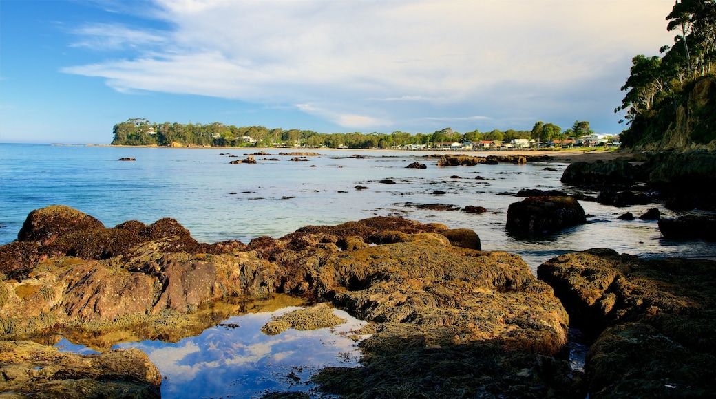 Caseys Beach som inkluderar färggranna rev