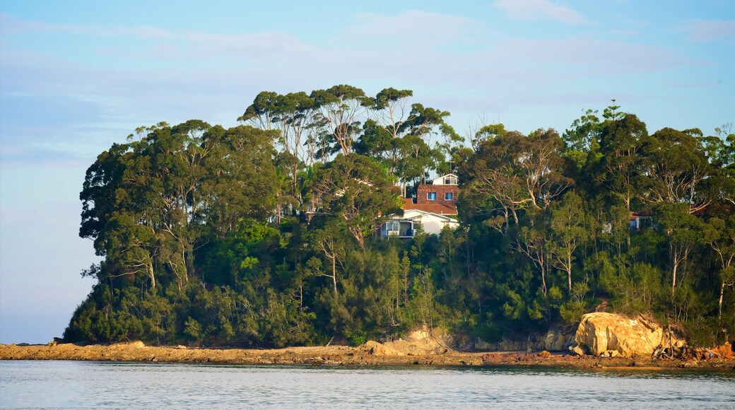 Caseys Beach presenterar skogslandskap och en strand