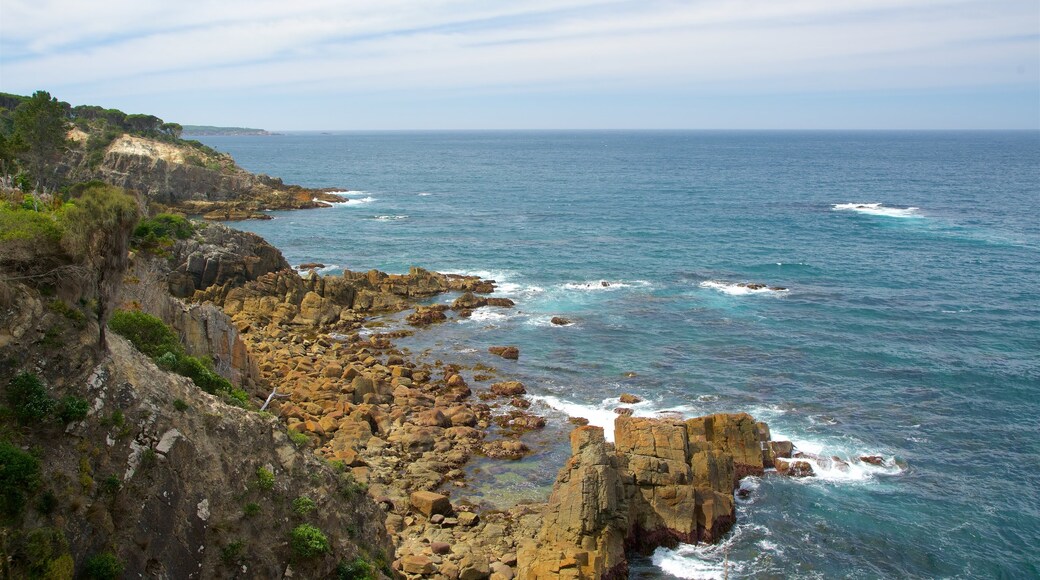 Rotary Park showing rocky coastline