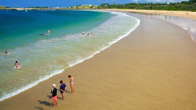 Coffs Harbour das einen allgemeine Küstenansicht, Sandstrand und Schwimmen