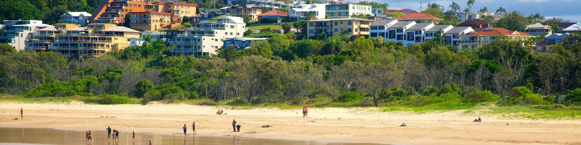 Coffs Harbour featuring general coastal views, swimming and a beach